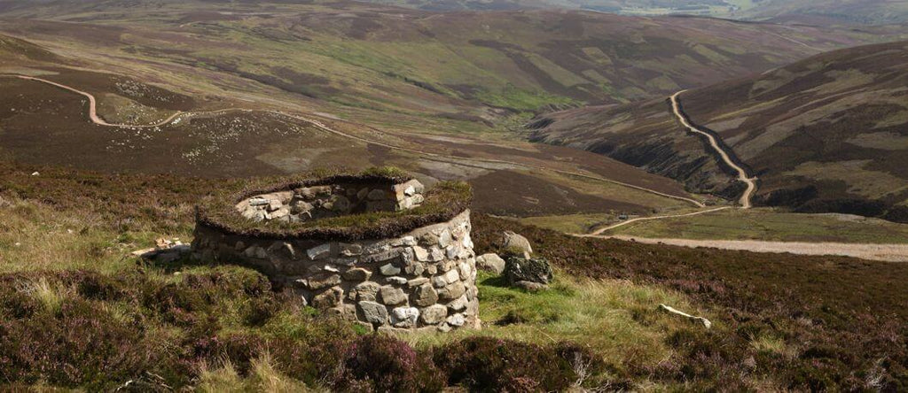 Simulated Game vs Real Game Shooting: What’s Best for Training?